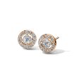 Lumiere Brique Halo Stud Earrings Online