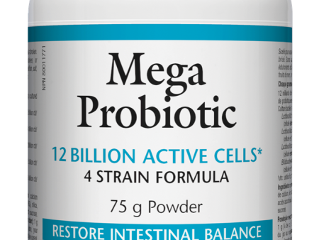 Natural Factors Mega Probiotic Powder (75g) Online