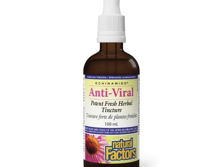 Natural Factors Echinamide Anti-Viral Tincture (100ml) Online now