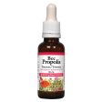 Natural Factors Bee Propolis 65% Tincture (30ml) Supply