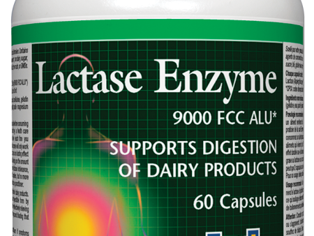 Natural Factors Lactase Enzyme (60 Capsules) Fashion