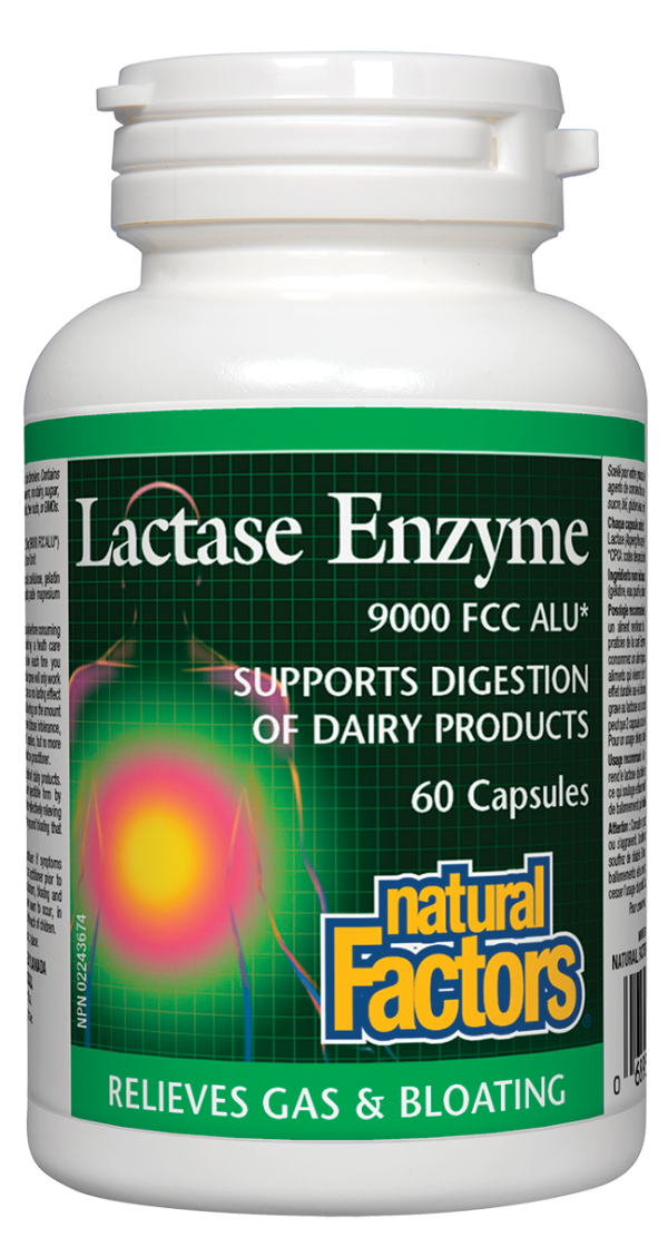 Natural Factors Lactase Enzyme (60 Capsules) Fashion