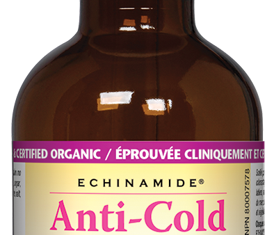 Natural Factors Echinamide Berry Flavoured Alcohol Free Tincture (50ml) Hot on Sale