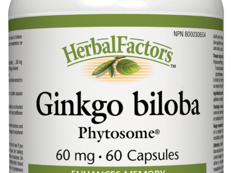 Natural Factors Ginkgo Biloba Phytosome (60mg) (60 Capsules) For Discount