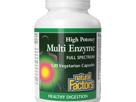 Natural Factors High Potency Multi Enzyme (120 VCaps) For Cheap