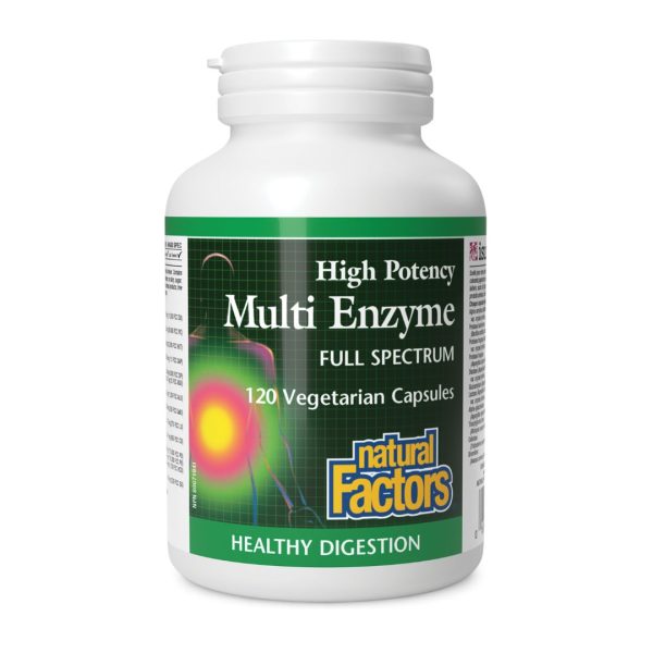 Natural Factors High Potency Multi Enzyme (120 VCaps) For Cheap