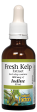 Natural Factors Fresh Kelp Extract (50ml) Hot on Sale