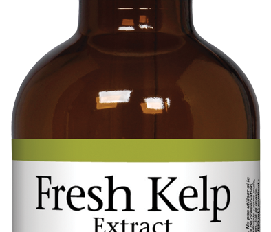 Natural Factors Fresh Kelp Extract (50ml) Hot on Sale