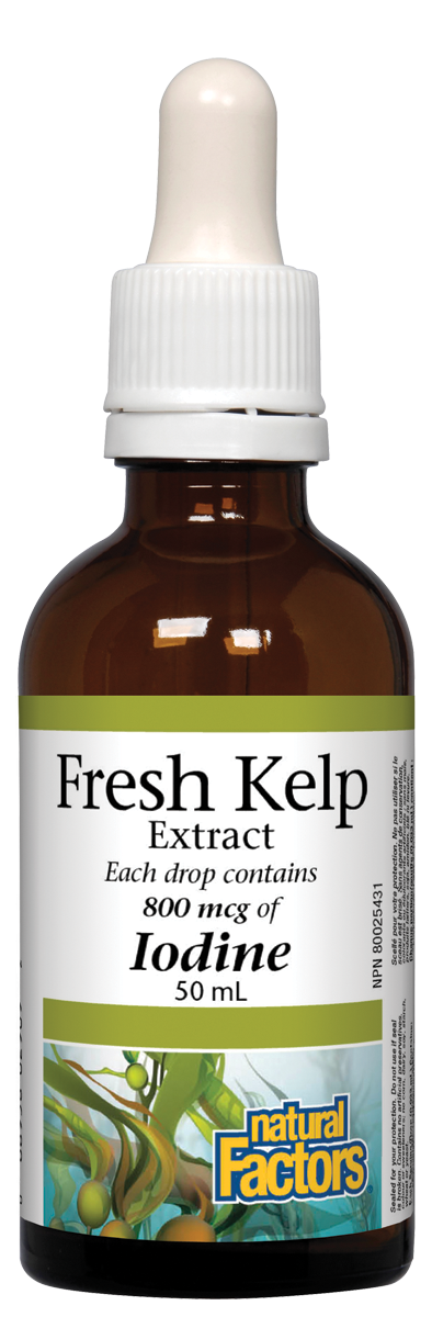 Natural Factors Fresh Kelp Extract (50ml) Hot on Sale