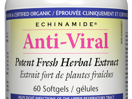 Natural Factors Echinamide Anti-Viral Potent Fresh Herbal Extract (60 SoftGels) Online Sale