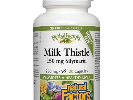 Natural Factors Milk Thistle 150mg Silymarin (BONUS) (120 Capsules) Cheap